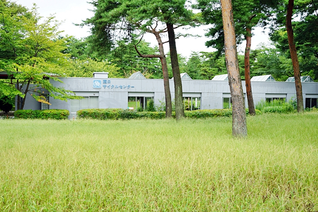 『日本。茨城』 東京近郊最推薦景點 国営ひたち海浜公園 ｜秋天遊日必去打卡熱點 史上最療癒的可愛掃帚草，綠色可愛 紅色豔麗！春天有水仙，郁金香，初夏有粉蝶花、薔薇，夏天有百日菊,秋天有掃帚草，秋櫻等等，隨着四季變化的各種花草花海｜2018年9/03-9/07 茨城東京 五天四夜自由行