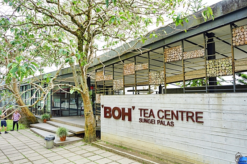 【馬來西亞】 金馬崙高原 BOH茶園｜避暑勝地金馬崙的古老茶山與懸空咖啡廳，馬來西亞非常著名的紅茶品牌發源地 ，上茶山喝咖啡吃煎蕊蛋糕