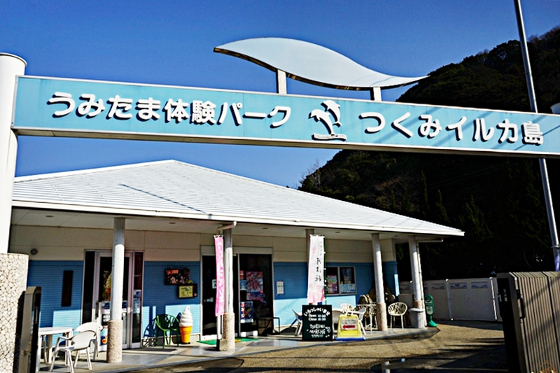 【日本】大分 津久見海豚島(つくみイルカ島)  |  史上最療癒 生活在大自然小港灣海洋裡的可愛海豚，遊客可以跟海豚親親摸摸握手甚至共游的零距離接觸體驗海洋樂園。