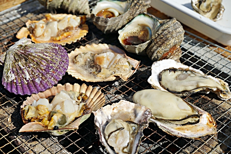 【日本】九州 大分 四浦半島津久見 河津櫻勝地｜九州最早開的櫻花 四浦半島豐後水道河津櫻祭 沿著海岸公路的自駕賞花之旅  期間限定鮪魚日向丼與烤彩色扇貝必吃 一起走花路吃美食。