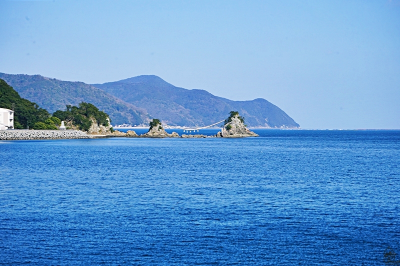 【日本】九州 大分 四浦半島津久見 河津櫻勝地｜九州最早開的櫻花 四浦半島豐後水道河津櫻祭 沿著海岸公路的自駕賞花之旅  期間限定鮪魚日向丼與烤彩色扇貝必吃 一起走花路吃美食。