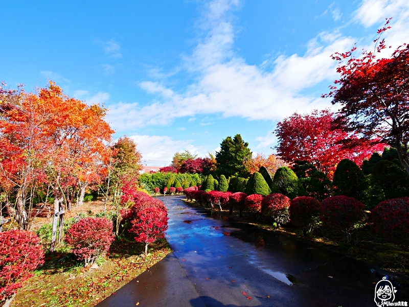 【日本】 北海道 札幌 平岡樹藝中心｜根本小型植物園，長達150公尺的紅葉隧道，漫步其間彷彿置身在畫中，醉人心脾。