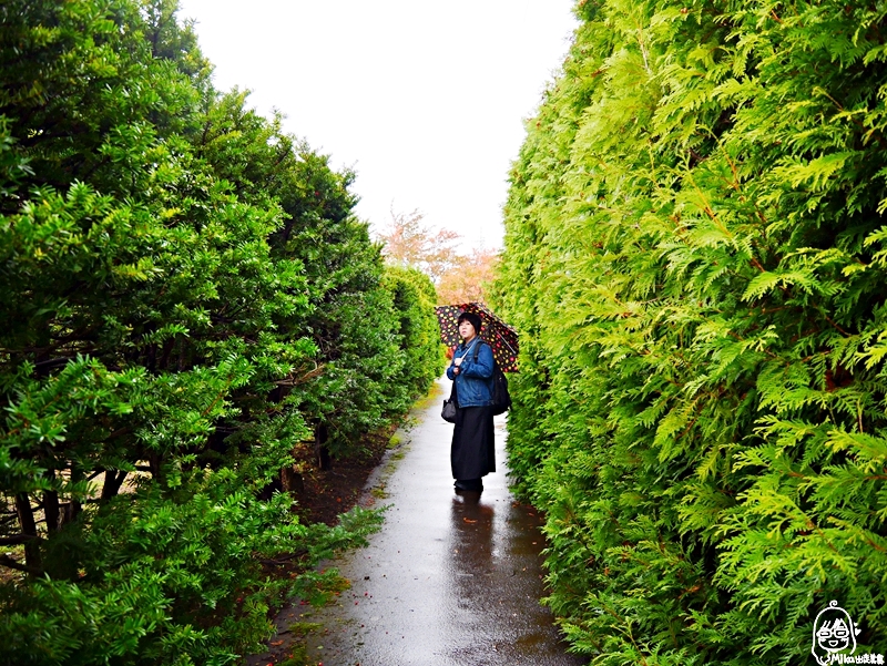 【日本】 北海道 札幌 平岡樹藝中心｜根本小型植物園，長達150公尺的紅葉隧道，漫步其間彷彿置身在畫中，醉人心脾。