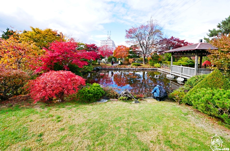 【日本】 北海道 札幌 平岡樹藝中心｜根本小型植物園，長達150公尺的紅葉隧道，漫步其間彷彿置身在畫中，醉人心脾。