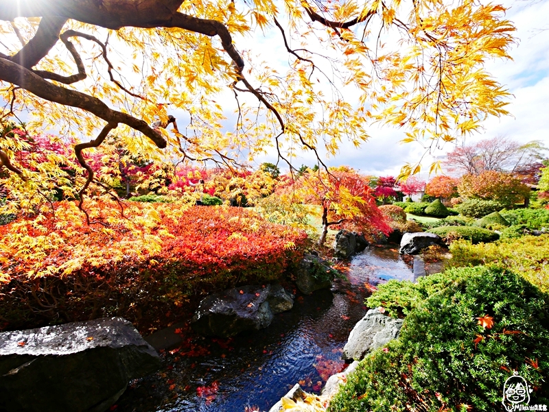 【日本】 北海道 札幌 平岡樹藝中心｜根本小型植物園，長達150公尺的紅葉隧道，漫步其間彷彿置身在畫中，醉人心脾。