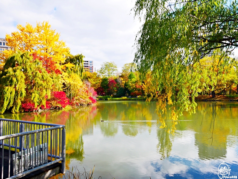 【日本】   北海道 札幌市區中的紅葉名所 中島公園 |  秋意濃 ，滿園的紅、黃、橘色的楓樹、銀杏等各種變葉木，妝點出如織錦般的美麗景色，讓人驚艷。