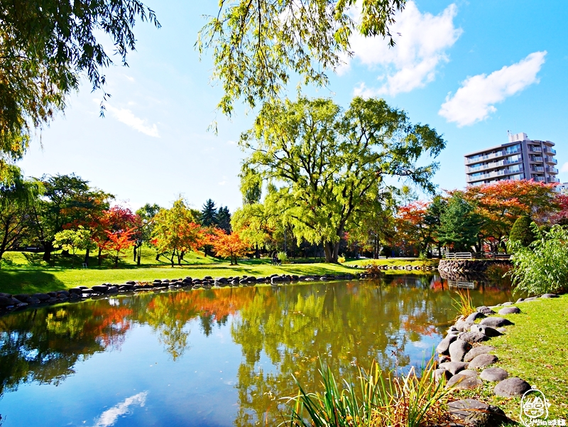 【日本】   北海道 札幌市區中的紅葉名所 中島公園 |  秋意濃 ，滿園的紅、黃、橘色的楓樹、銀杏等各種變葉木，妝點出如織錦般的美麗景色，讓人驚艷。