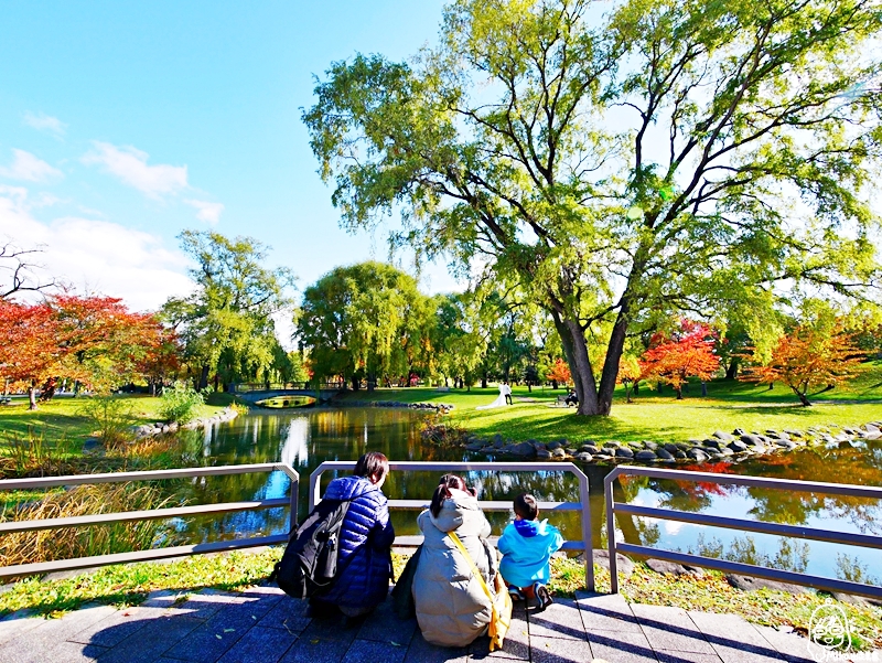 【日本】   北海道 札幌市區中的紅葉名所 中島公園 |  秋意濃 ，滿園的紅、黃、橘色的楓樹、銀杏等各種變葉木，妝點出如織錦般的美麗景色，讓人驚艷。