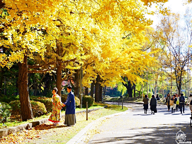 【日本】   北海道 札幌市區中的紅葉名所 中島公園 |  秋意濃 ，滿園的紅、黃、橘色的楓樹、銀杏等各種變葉木，妝點出如織錦般的美麗景色，讓人驚艷。