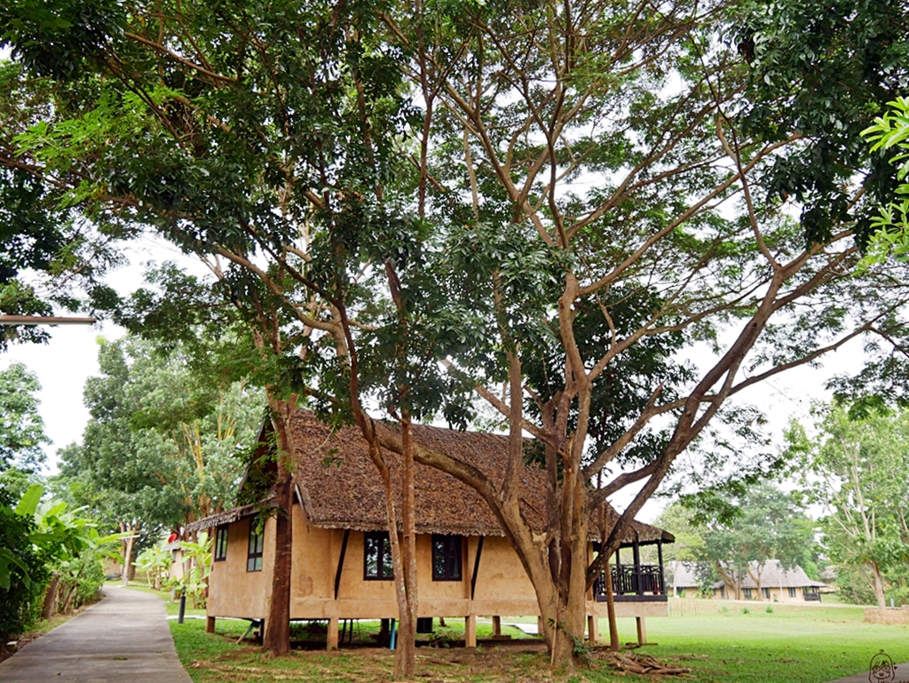 『泰國。擺鎮』Pai推薦住宿 Phu Pai Art Resort（普拜藝術度假村）｜網美最愛獨棟VILLA森林田園風 室外泳池可俯瞰著一望無際的稻田和山嵐美景｜2018/1117-1125 清邁｜清萊｜擺鎮 國際水燈節自駕九天八夜之旅