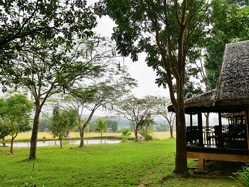 『泰國。擺鎮』Pai推薦住宿 Phu Pai Art Resort（普拜藝術度假村）｜網美最愛獨棟VILLA森林田園風 室外泳池可俯瞰著一望無際的稻田和山嵐美景｜2018/1117-1125 清邁｜清萊｜擺鎮 國際水燈節自駕九天八夜之旅