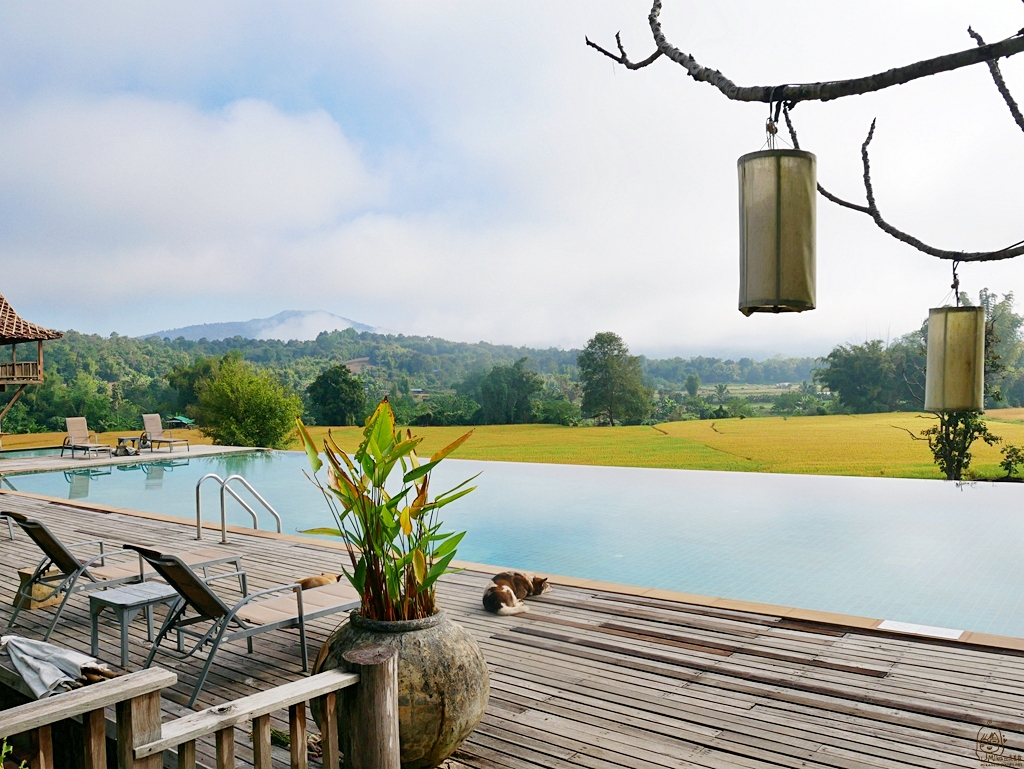 『泰國。擺鎮』Pai推薦住宿 Phu Pai Art Resort（普拜藝術度假村）｜網美最愛獨棟VILLA森林田園風 室外泳池可俯瞰著一望無際的稻田和山嵐美景｜2018/1117-1125 清邁｜清萊｜擺鎮 國際水燈節自駕八天七夜之旅