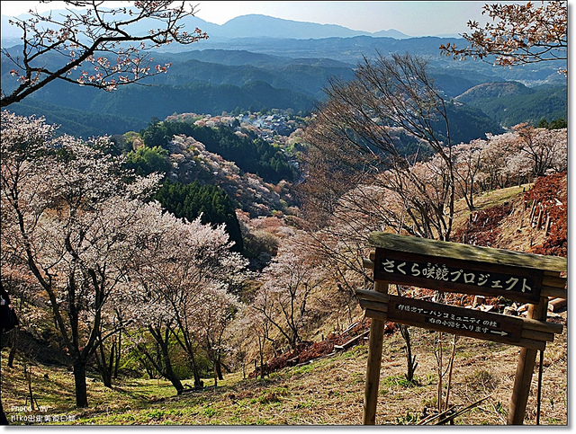 『日本奈良』2013年京阪賞櫻之旅DAY3-日本第一賞櫻名所『吉野山』 @Mika出走美食日誌