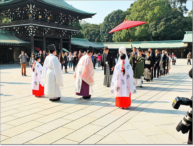 『日本東京』2013年東京賞楓DAY5-神聖莊嚴的百年『明治神宮』 @Mika出走美食日誌