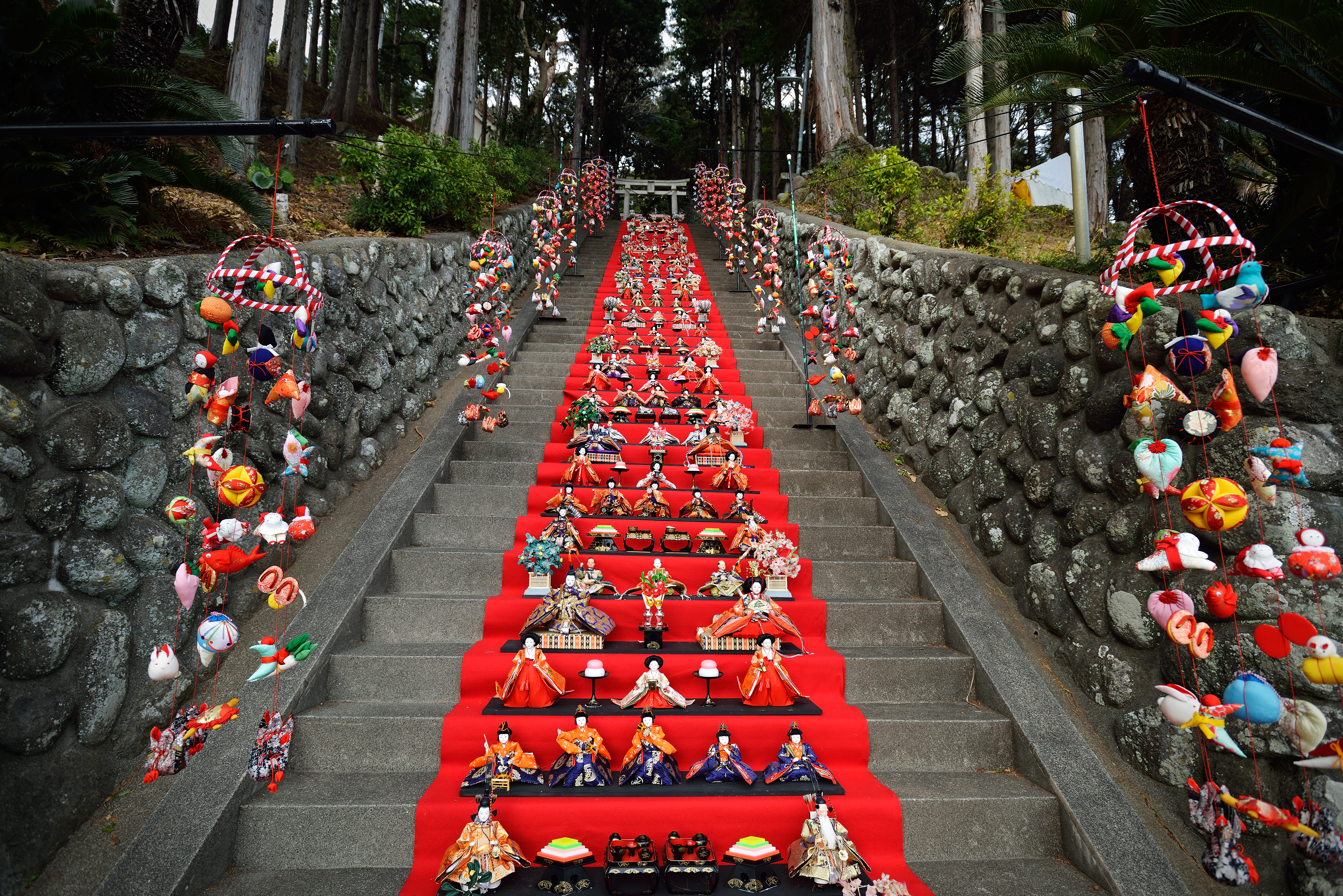 【靜岡】伊豆  河津櫻花祭｜日本最早開的櫻花 2月10日到3月10日舉行  粉紅色櫻花隧道採草莓  海邊聽潮觀景賞月光。